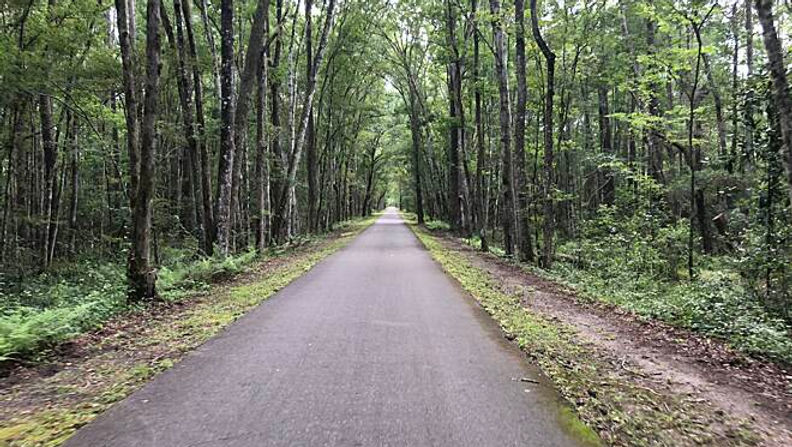 Bike Baldwin Rail Trail: Imeson to Halsema Round trip
