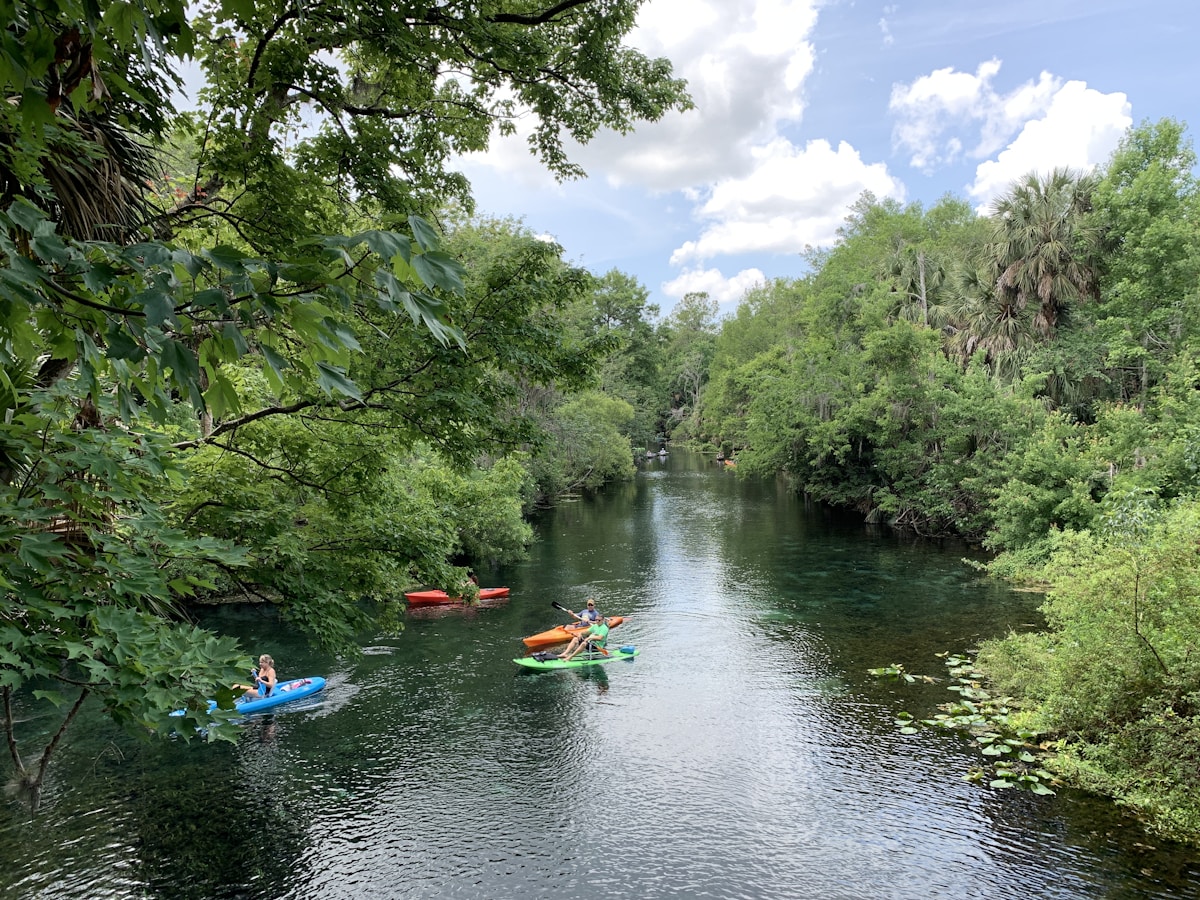 Ichetucknee Springs Tubing Adventure