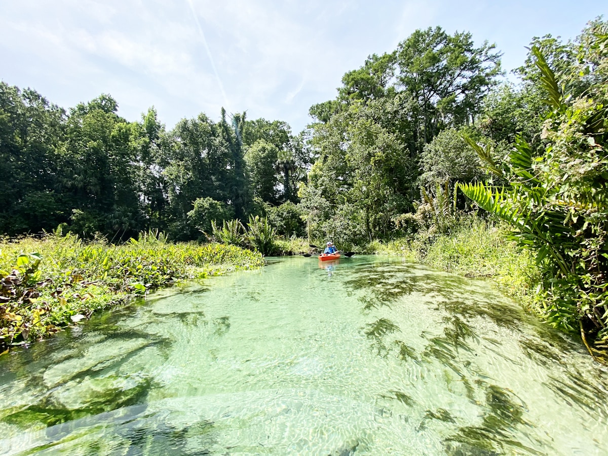 Pottsburgh Creek Kayaking Adventure